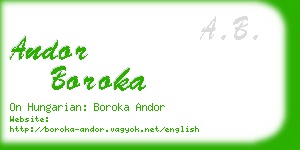 andor boroka business card